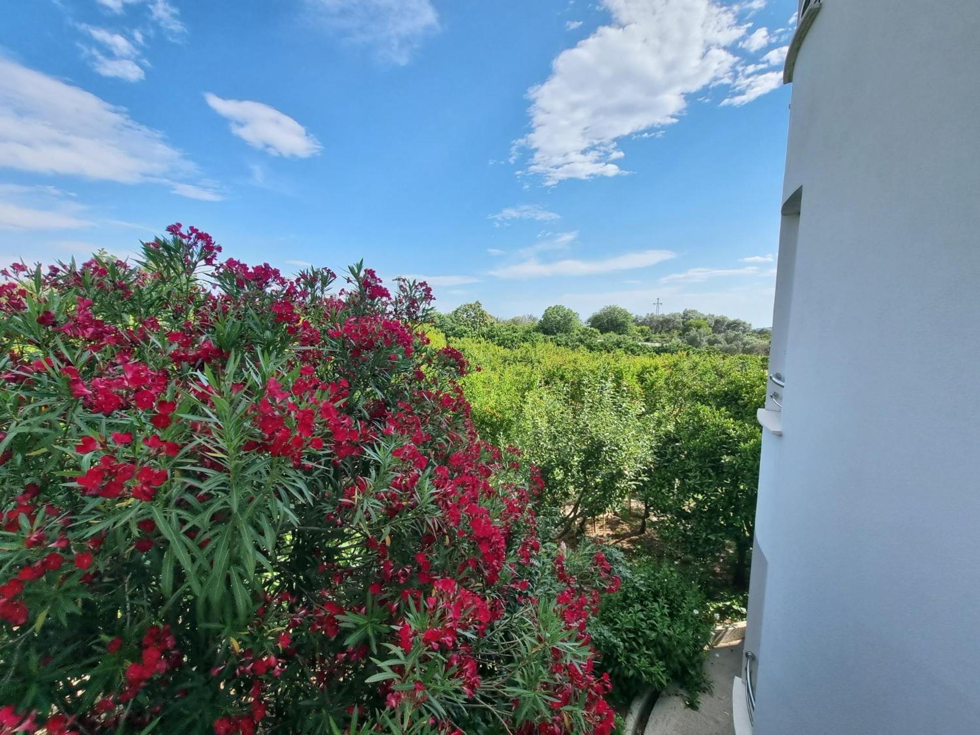 Le Domaine Green Paradise Ulcinj Eksteriør bilde